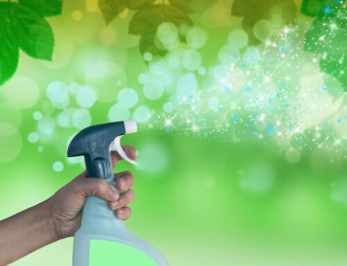 Your Ultimate Guide to Spring Cleaning in Silver Spring!
