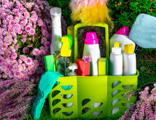 Eco-Friendly Cleaning Solutions for a Healthier Silver Spring Home