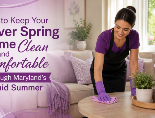 How to Keep Your Silver Spring Home Clean and Comfortable Through Maryland’s Humid Summer